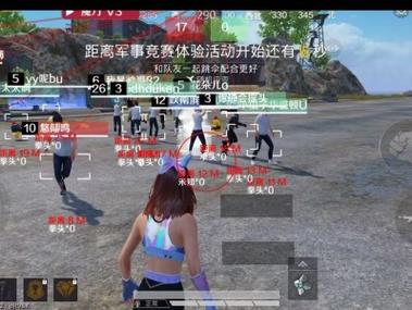和平精英火焰鸟辅助 - 三端通用直装透视挂